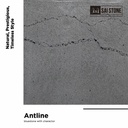 [ANTPABO100550020SA] Antline Bluestone Paver 1005x500x20 SAWN