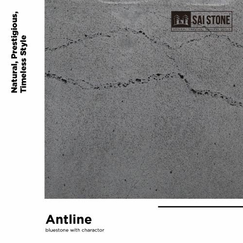 Antline Bluestone Coping 800x400x30 Bevelled Sawn(While stock last)