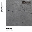 Antline Bluestone Paver 1005x500x20 SAWN