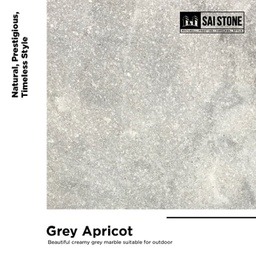[PAGA80040020SB] Grey Apricot 800x400x20mm Paver Sandblasted